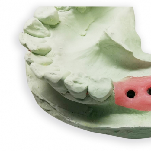 A-Silcone for gingival 人工牙齦複製材料