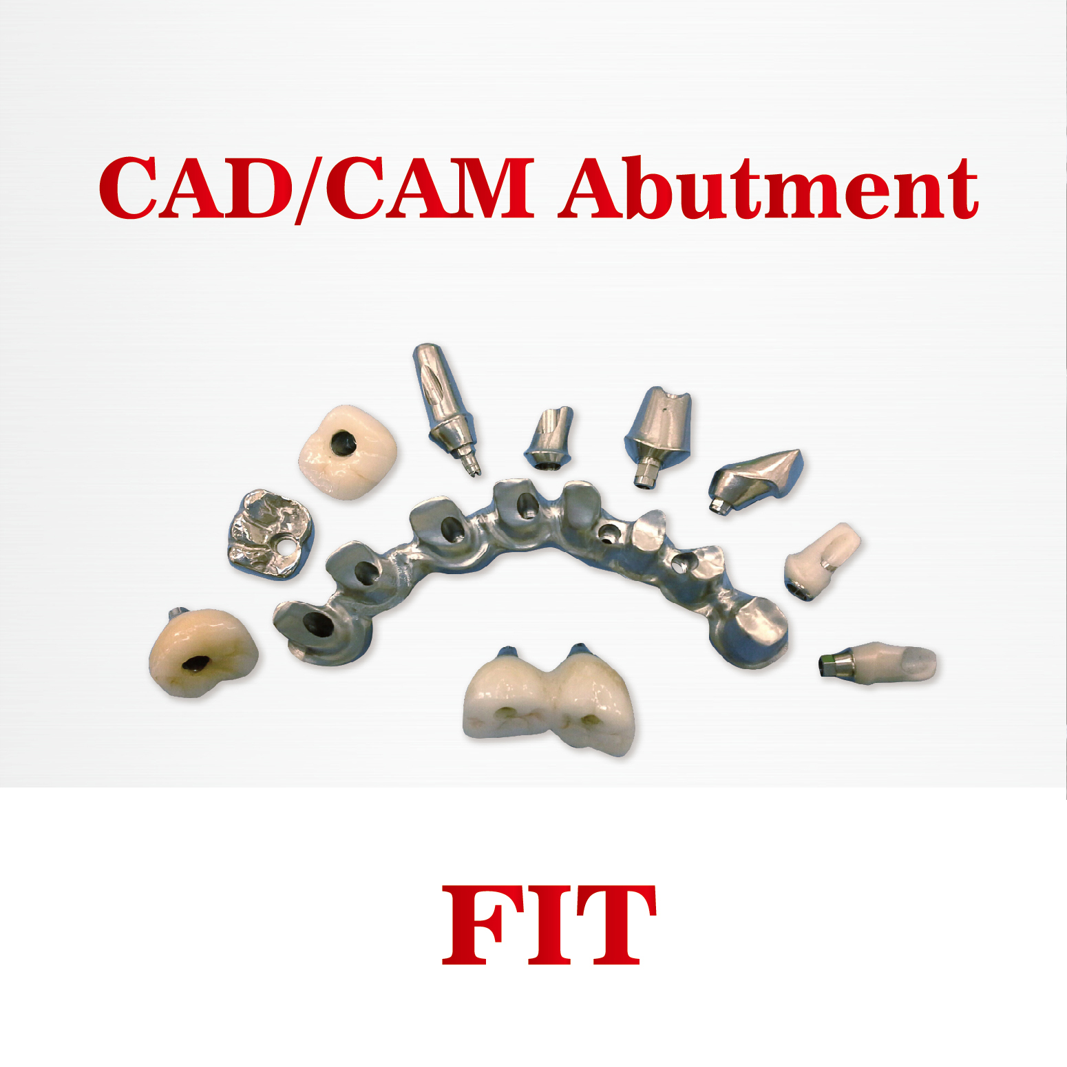 FIT CAD/CAM Abutment