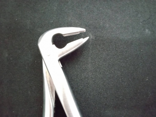 Extraction forceps 拔牙鉗