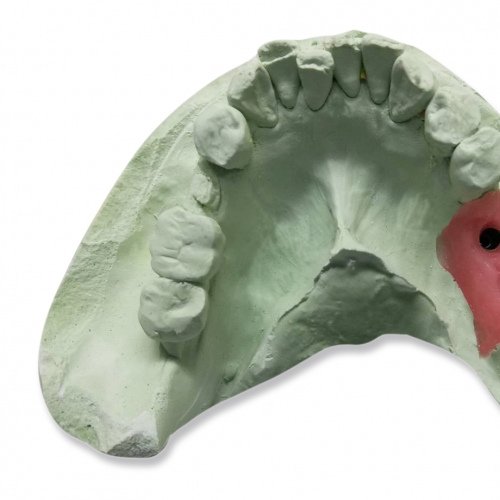 A-Silcone for gingival 人工牙齦複製材料