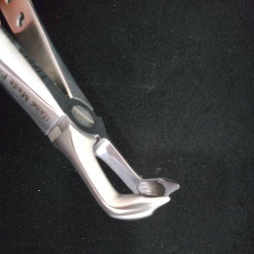Extraction forceps 拔牙鉗